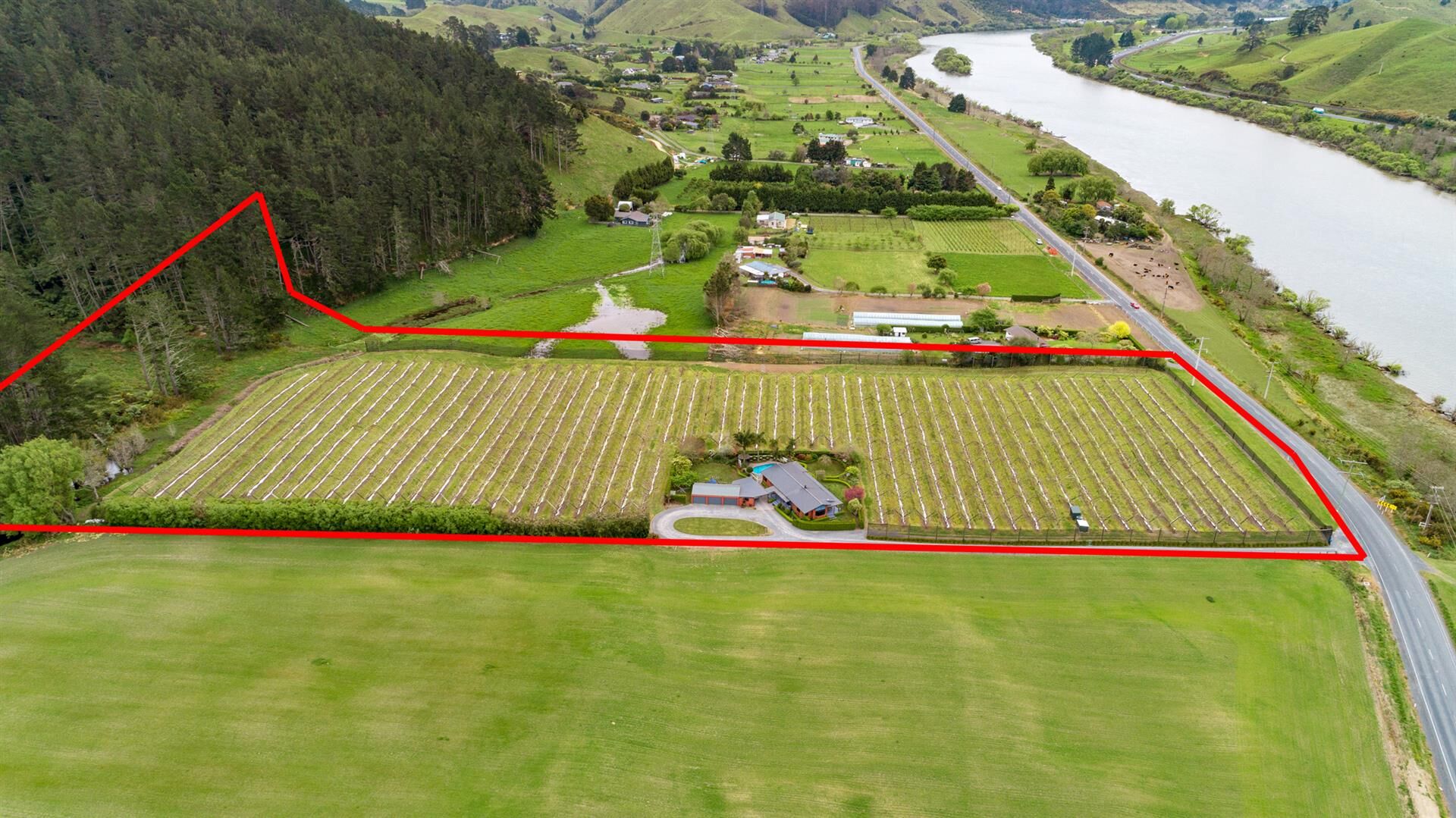 Pioneering persimmon orchard for sale offers sweet opportunities for